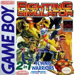 Fighting Simulator 2 in 1